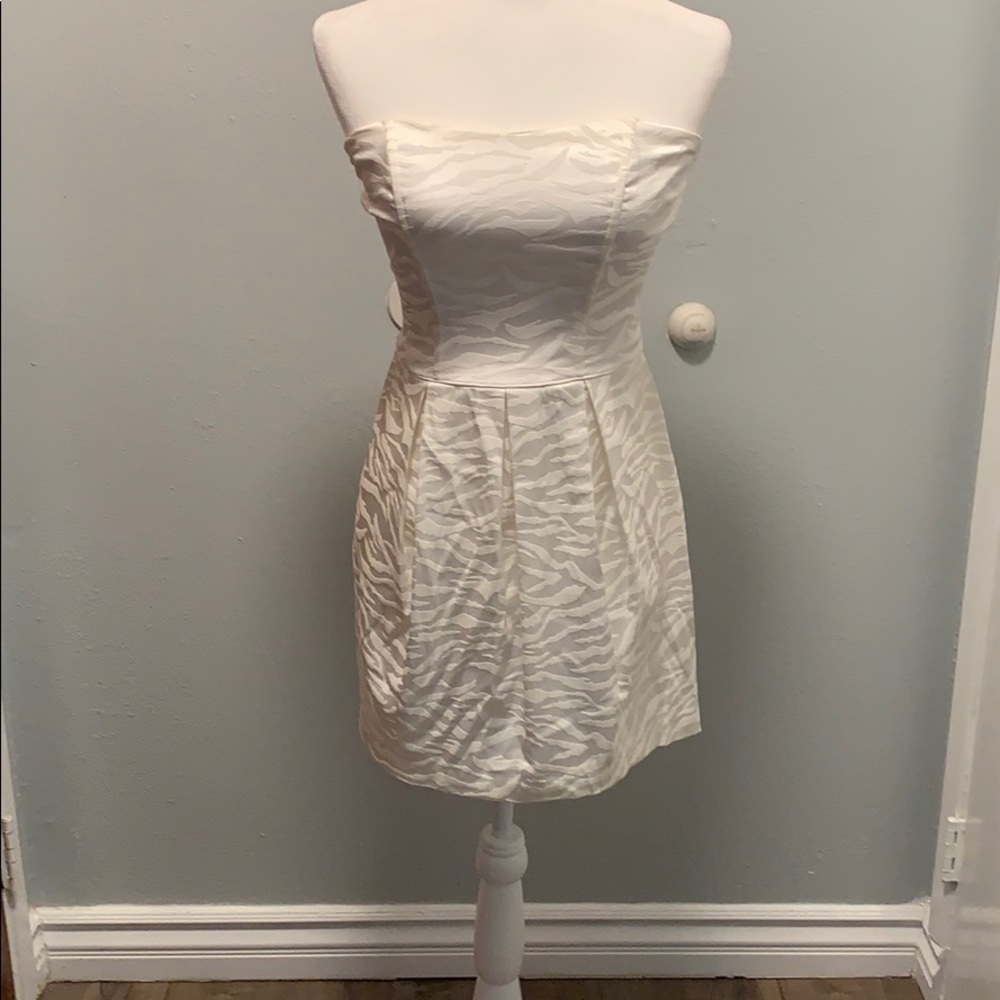 Women dress from Windsor size 7